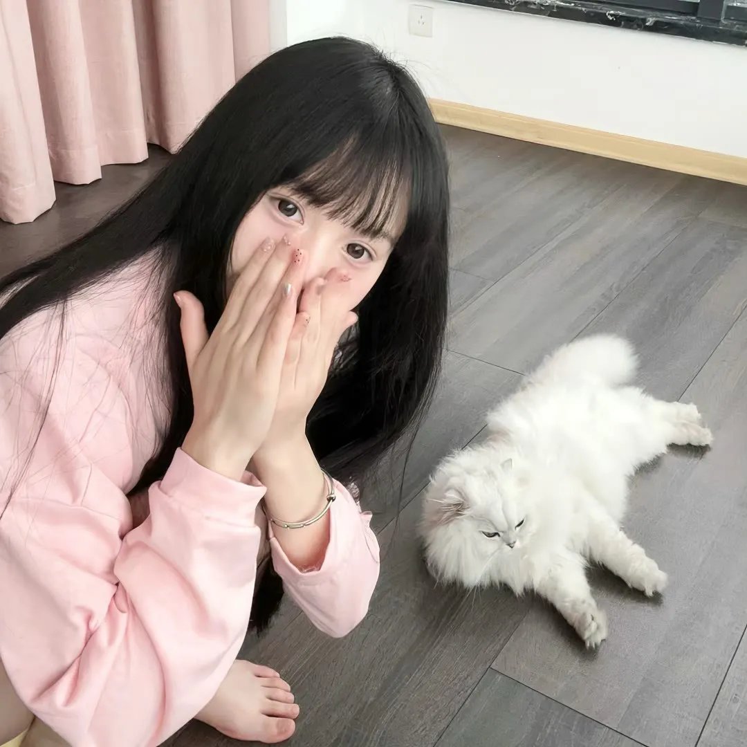 冰狗任务